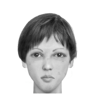 Illustration for article titled Police composite software makes realistic portraits of literary characters